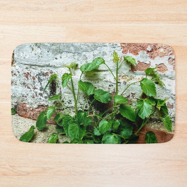 Item preview, Nature Will Always Find a Way designed and sold by Murph's Images.