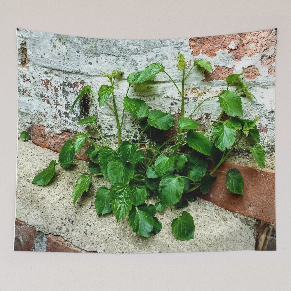 Item preview, Nature Will Always Find a Way designed and sold by Murph's Images.