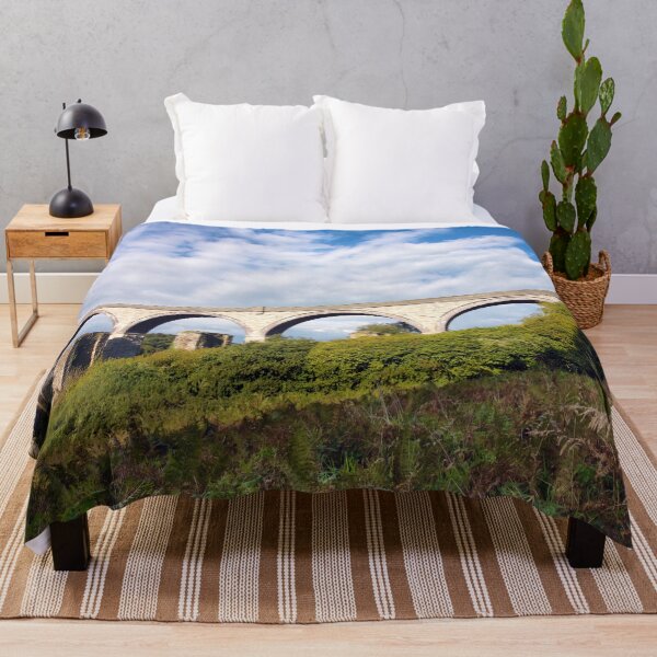 Item preview, College Wood Viaduct Penryn designed and sold by Terri Waters Photography & Design.