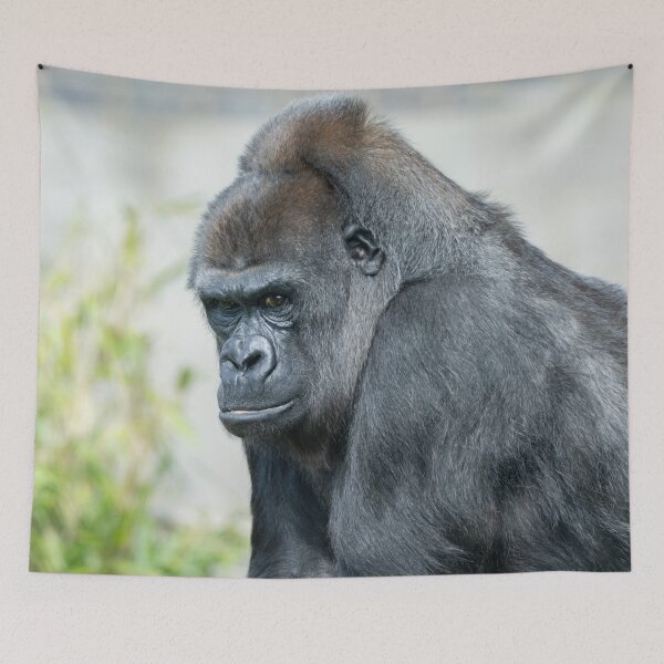 Item preview, Gaze of a Formidable Gorilla Queen designed and sold by rawshutterbug.