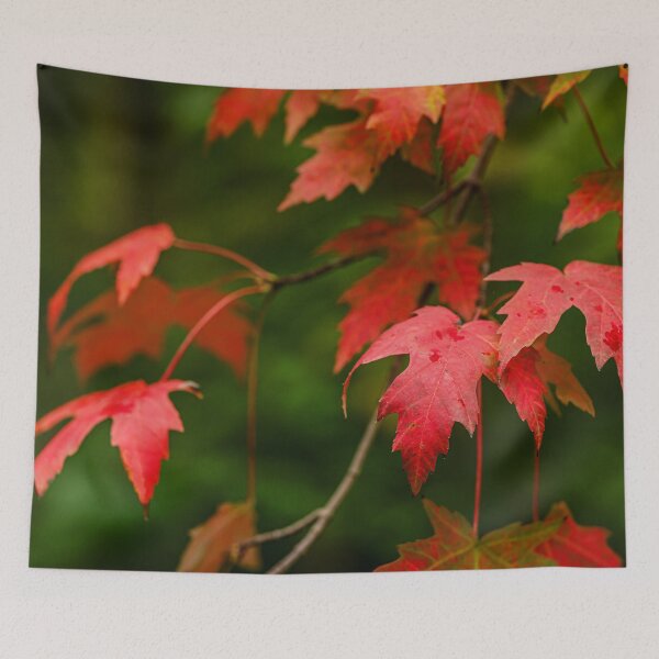 Item preview, The Radiant Dance of Maple Leaves designed and sold by MariaAbaza.