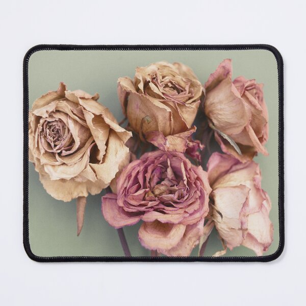 Item preview, Five dead roses designed and sold by gailgriggs.