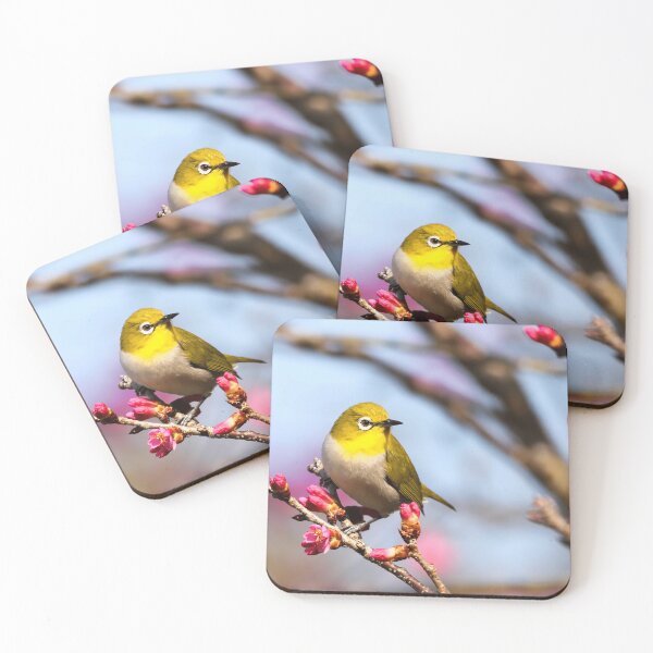 Item preview, White Eye Bird Cherry Blossom Spring Nature Bird Watcher designed and sold by daniel-haneva-a.