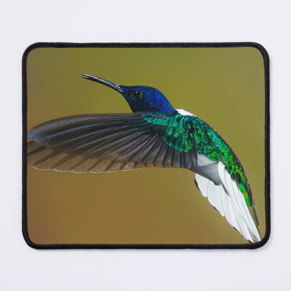 Item preview, Hummingbird In Flight Nature Lover Wildlife Gift designed and sold by daniel-haneva-a.