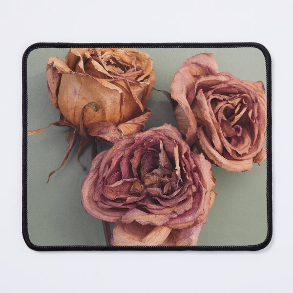 Item preview, Three dead roses designed and sold by gailgriggs.