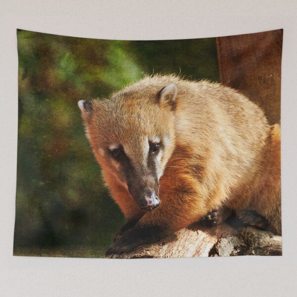 Item preview, Ring Tailed Coati designed and sold by Terri Waters Photography & Design.