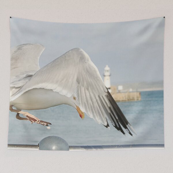 Aperçu de l'œuvre Mouette de St Ives créée et vendue par Terri Waters Photography & Design.