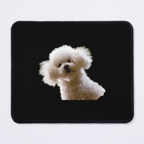 Item preview, Fluffy Bichon Frise Dog Peeking from Rocks designed and sold by Dmo3HarkoArt.
