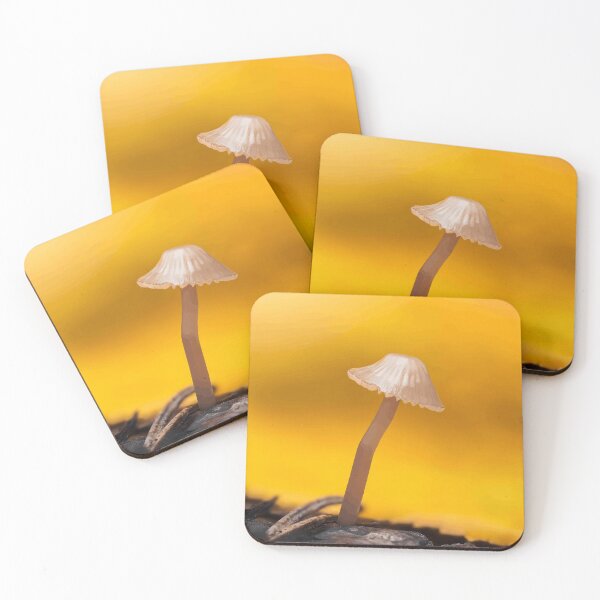 Item preview, Delicate Mushroom with Warm Yellow Background designed and sold by Roamgrain Photos.