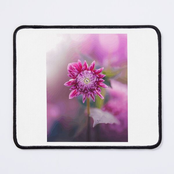 Item preview, Pink Dahlia Flower with Soft Focus designed and sold by Roamgrain Photos.