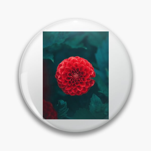 Item preview, Vibrant Red Dahlia Blossom designed and sold by Roamgrain Photos.