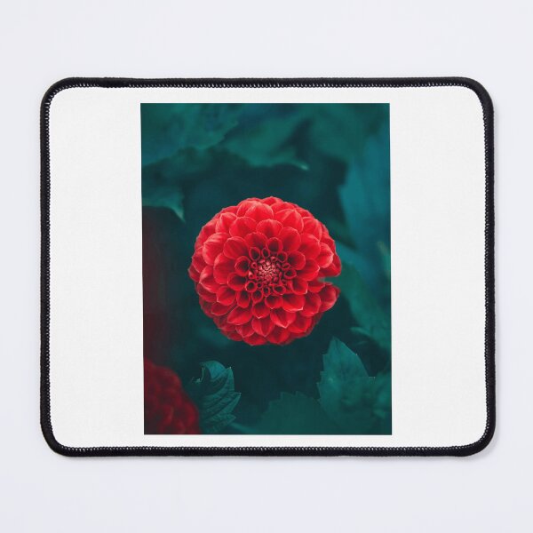 Item preview, Vibrant Red Dahlia Blossom designed and sold by Roamgrain Photos.