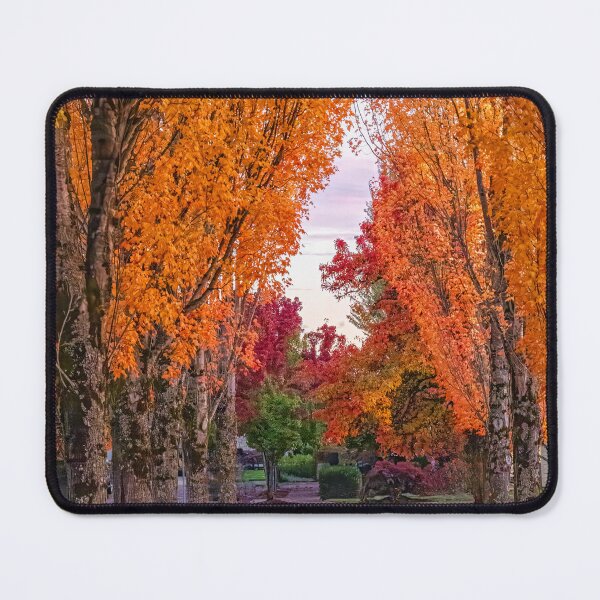 Item preview, Beneath An Autumn Canopy designed and sold by RockitBaby.