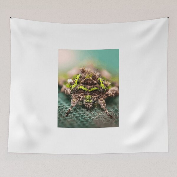 Item preview, Close-Up of Spiky Green and Brown Insect designed and sold by Roamgrain Photos.
