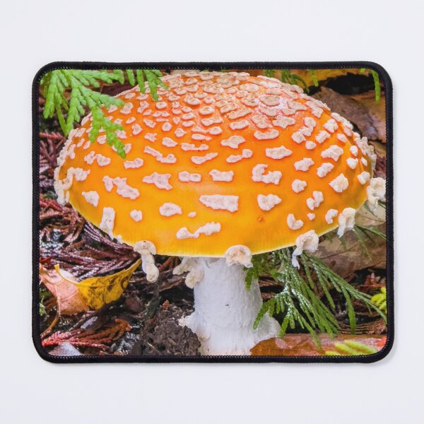 Item preview, Autumn Forest Treasure designed and sold by RockitBaby.
