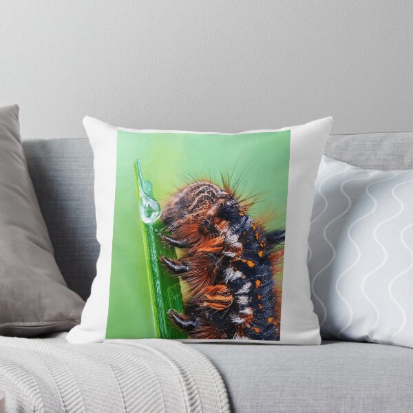 Item preview, Close-Up of Hairy Caterpillar on Green Blade designed and sold by Roamgrain Photos.