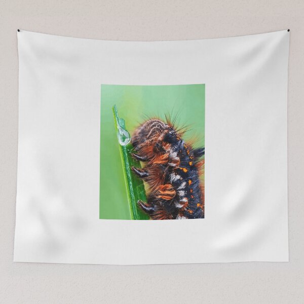 Item preview, Close-Up of Hairy Caterpillar on Green Blade designed and sold by Roamgrain Photos.
