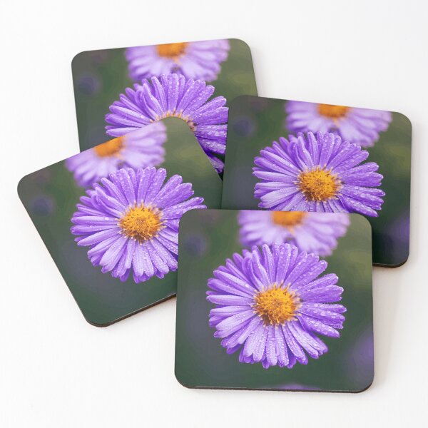 Item preview, Vibrant Purple Aster Flowers with Dewdrops designed and sold by Roamgrain Photos.