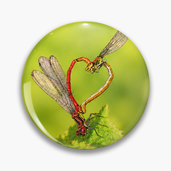 Item preview, Damselfly Heart on a Green Leaf designed and sold by Medve Photography & Design.
