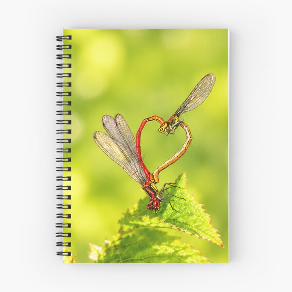 Item preview, Damselfly Heart on a Green Leaf designed and sold by Medve Photography & Design.