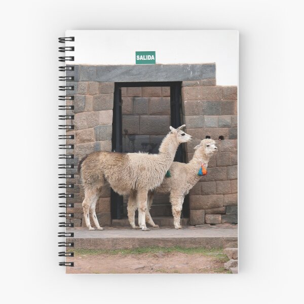 Item preview, Cusco, Peru. Original photography designed and sold by studio838.