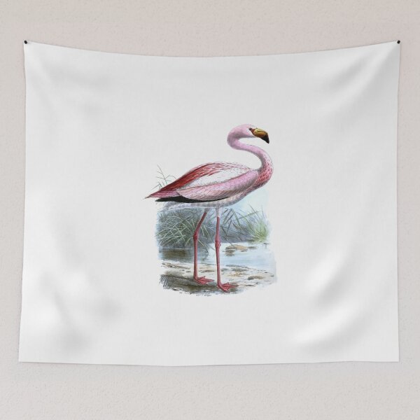 Item preview, Puna Flamingo designed and sold by taiche.