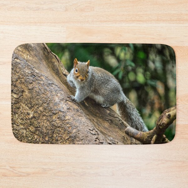 Item preview, Inquisitive Grey Squirrel in Cardiff designed and sold by VnGphoto.