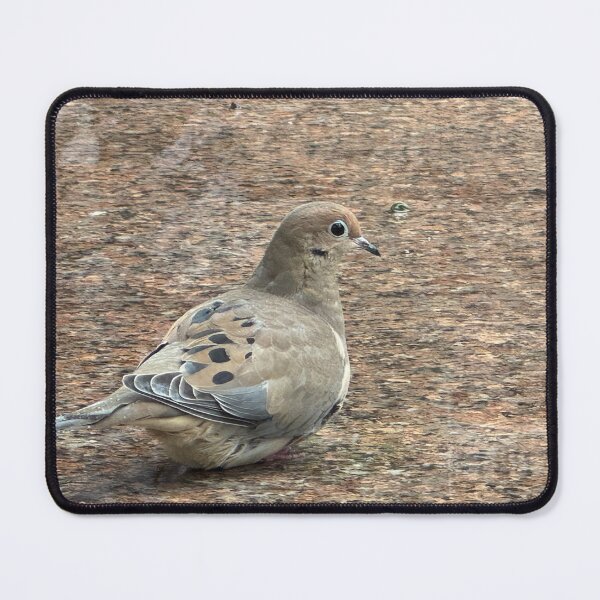 Item preview, Mourning Dove designed and sold by Nekora73.