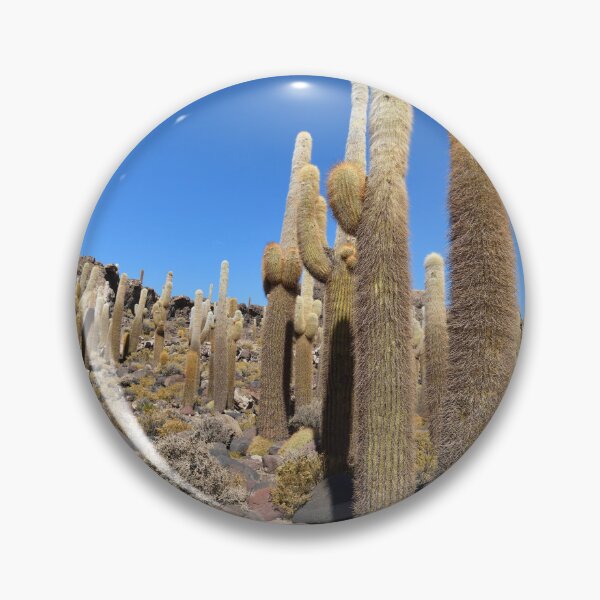 Item preview, Cactus island, Isla Incahuasi, Salar de Uyuni, Bolivia. Original photography designed and sold by studio838.