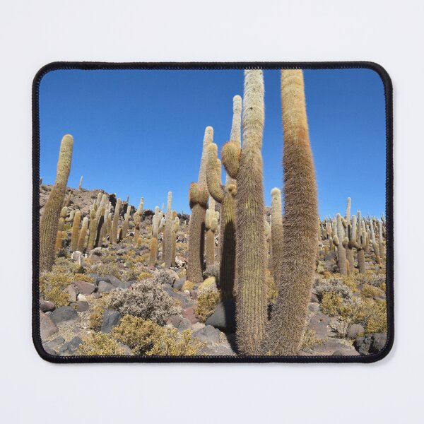 Artikelvorschau, Kaktusinsel, Isla Incahuasi, Salar de Uyuni, Bolivien. Originalfotografie entworfen und verkauft von studio838.