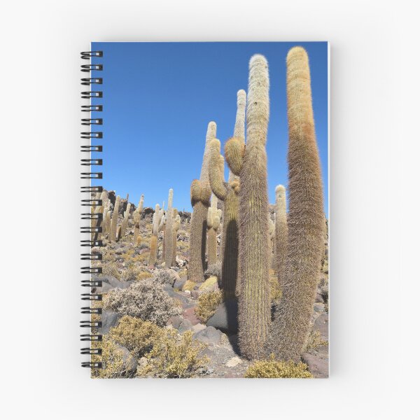 Item preview, Cactus island, Isla Incahuasi, Salar de Uyuni, Bolivia. Original photography designed and sold by studio838.