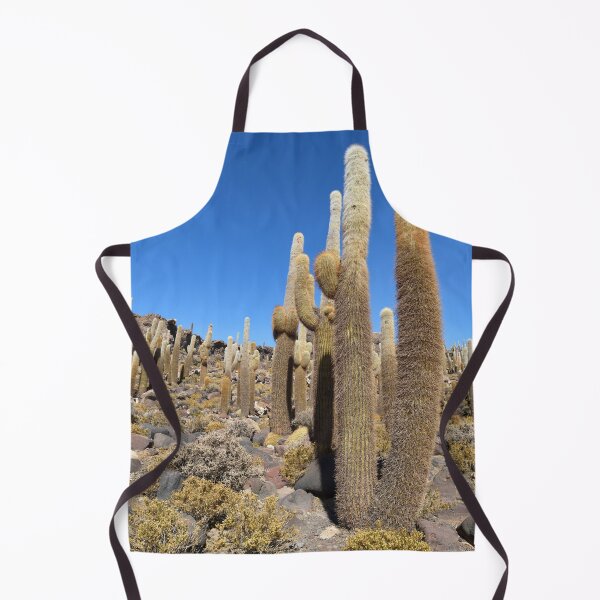 Artikelvorschau, Kaktusinsel, Isla Incahuasi, Salar de Uyuni, Bolivien. Originalfotografie entworfen und verkauft von studio838.
