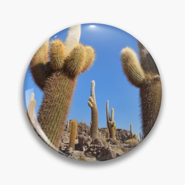 Item preview, Cactus island, Isla Incahuasi, Salar de Uyuni, Bolivia. Original photography designed and sold by studio838.