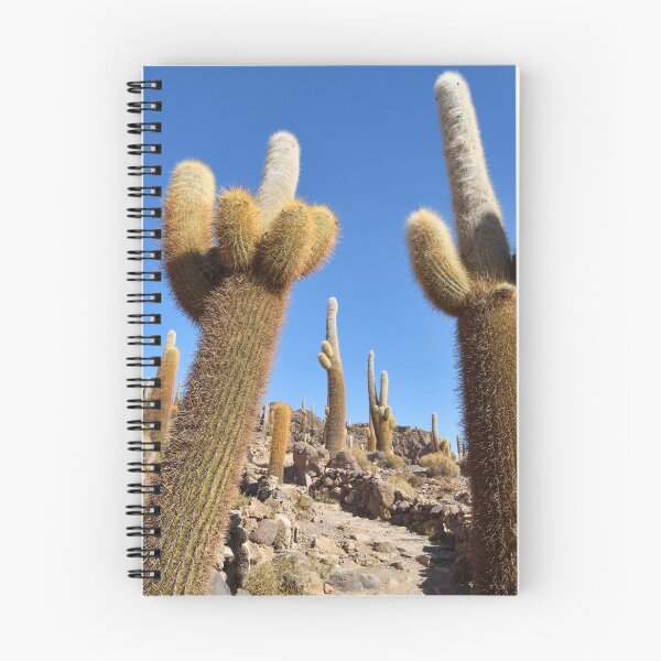 Item preview, Cactus island, Isla Incahuasi, Salar de Uyuni, Bolivia. Original photography designed and sold by studio838.