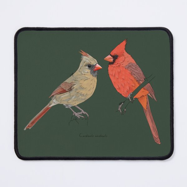 Item preview, Northern Cardinal designed and sold by Luzeilustración.