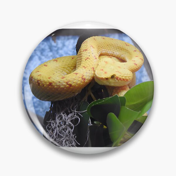 Item preview, Eyelash Viper Snake Illustration with Vibrant Colors and Detailed Design designed and sold by winston213.