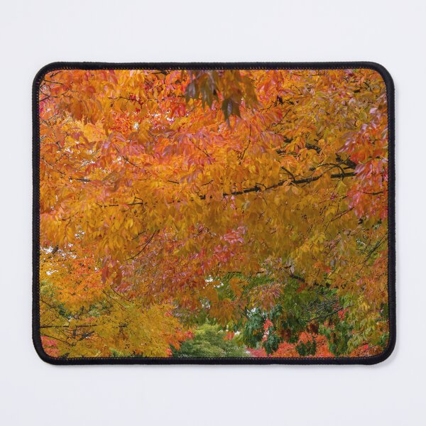 Item preview, Autumn Colors Down The Lane designed and sold by RockitBaby.
