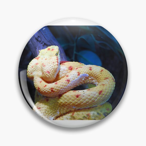 Item preview, Eyelash Viper Snake Illustration with Vibrant Colors and Detailed Scales designed and sold by winston213.