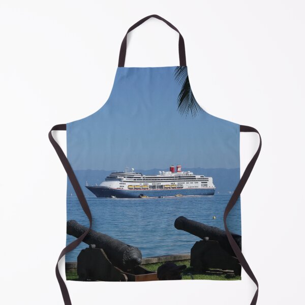 Artikelvorschau, Kreuzfahrtschiff in Ilhabella entworfen und verkauft von Malcolm Snook.