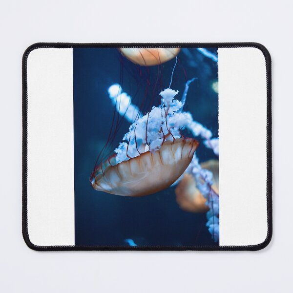 Item preview, Cold Light of Dusk Atmospheric Landscape Art Print designed and sold by naomian17.