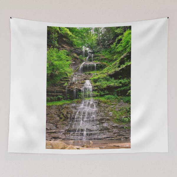 Artikelvorschau, Cathedral Falls, West Virginia, Vertikal entworfen und verkauft von LisaWootenPhoto.