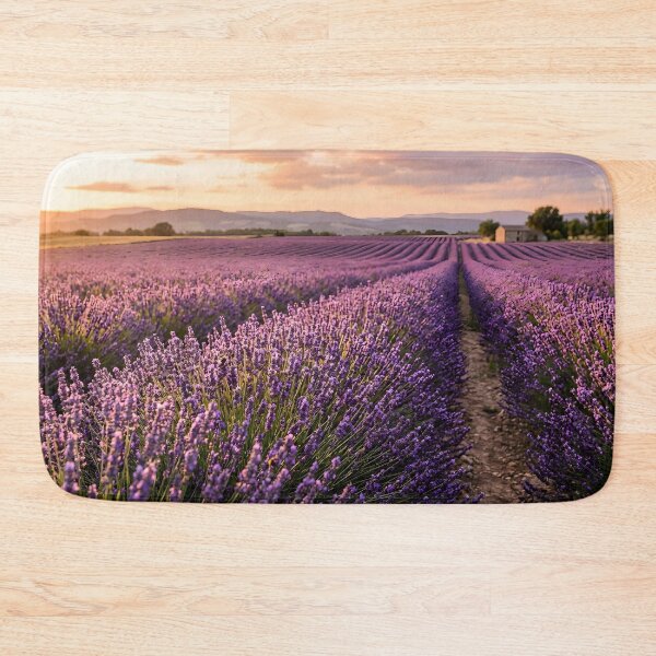 Item preview, Rows of lavender blooming in a French countryside field at sunset designed and sold by homydesign.