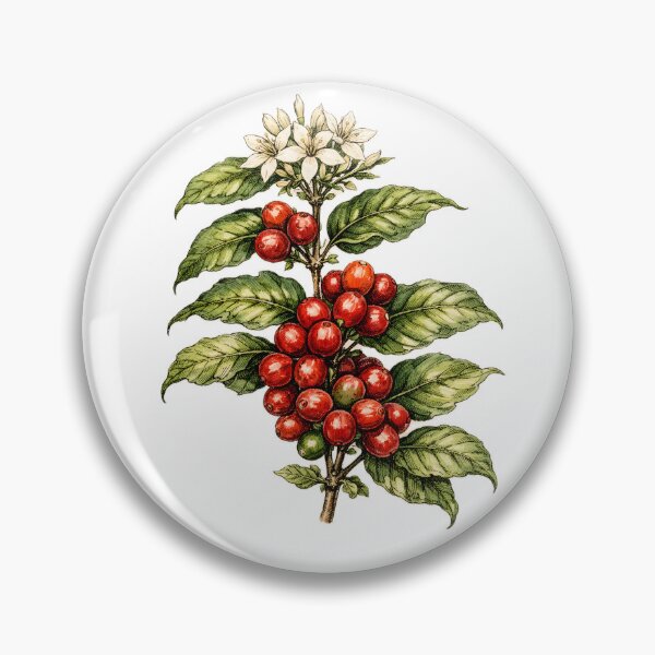 Artikelvorschau, Botanische Illustration einer Kaffeepflanze mit Kirschen und Bohnen entworfen und verkauft von homydesign.