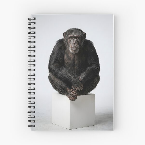 Item preview, A chimpanzee sitting on a white pedestal designed and sold by homydesign.