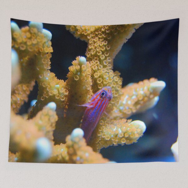 Aperçu de l'œuvre Macro récif de Gobie corail néon rayé créée et vendue par Luxxe87.