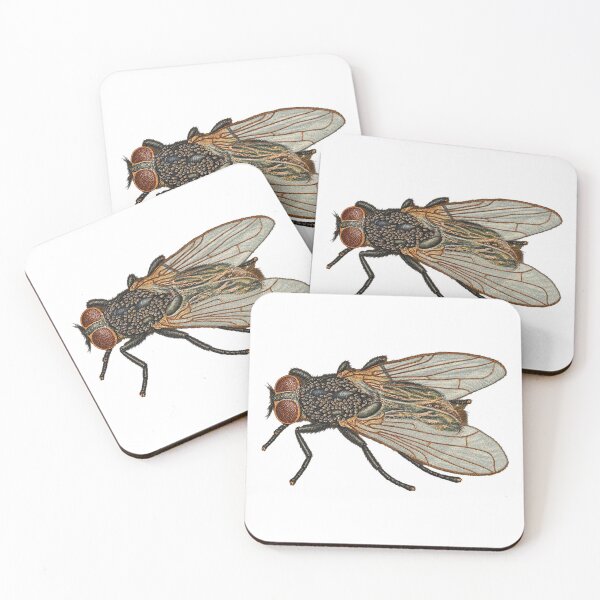 Item preview, Antique Fly Sketch designed and sold by TheDisloyalists.