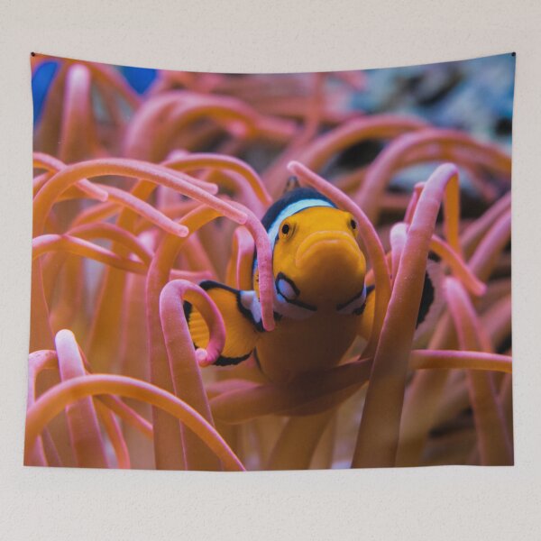 Item preview, Clownfish Swimming in Pink Sea Anemone designed and sold by Luxxe87.