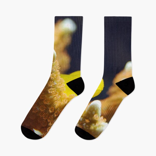Item preview, Vibrant Yellow Clown Goby Acropora Coral designed and sold by Luxxe87.