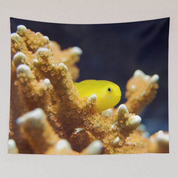 Aperçu de l'œuvre Gobie clown jaune vif, corail Acropora créée et vendue par Luxxe87.