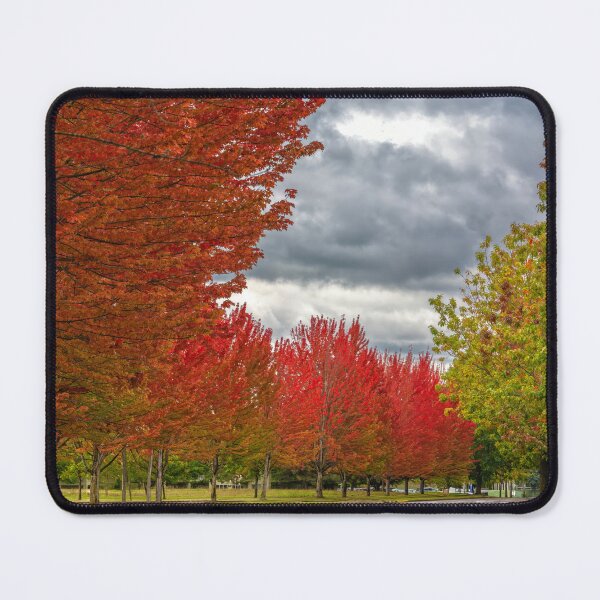 Item preview, Autumn Under Stormy Skies designed and sold by RockitBaby.